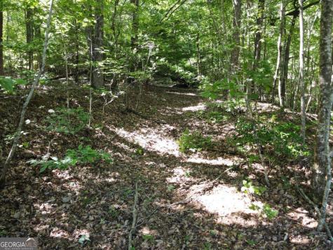 0 Bald Eagle Path Cleveland GA 30528