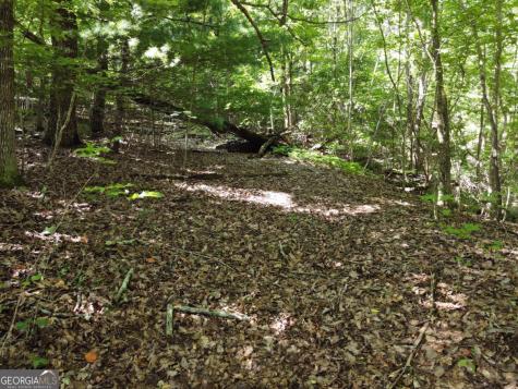 0 Bald Eagle Path Cleveland GA 30528
