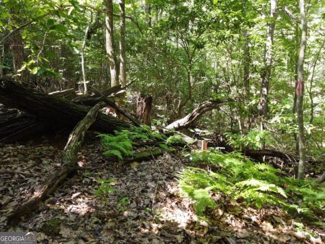 0 Bald Eagle Path Cleveland GA 30528