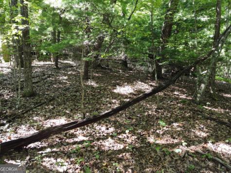 0 Bald Eagle Path Cleveland GA 30528