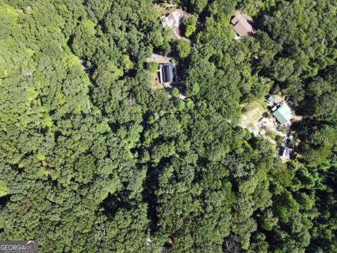 0 Bald Eagle Path Cleveland GA 30528