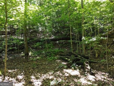 0 Bald Eagle Path Cleveland GA 30528