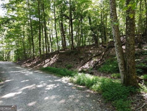 0 Bald Eagle Path Cleveland GA 30528