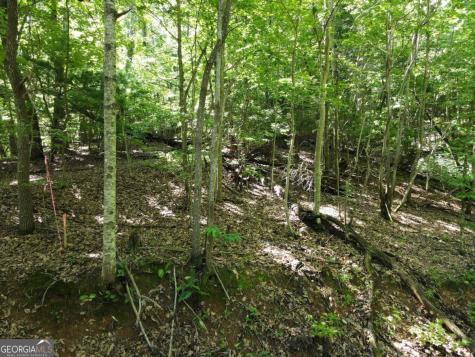 0 Bald Eagle Path Cleveland GA 30528