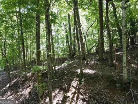 0 Bald Eagle Path Cleveland GA 30528
