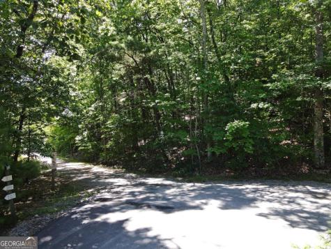 0 Bald Eagle Path Cleveland GA 30528