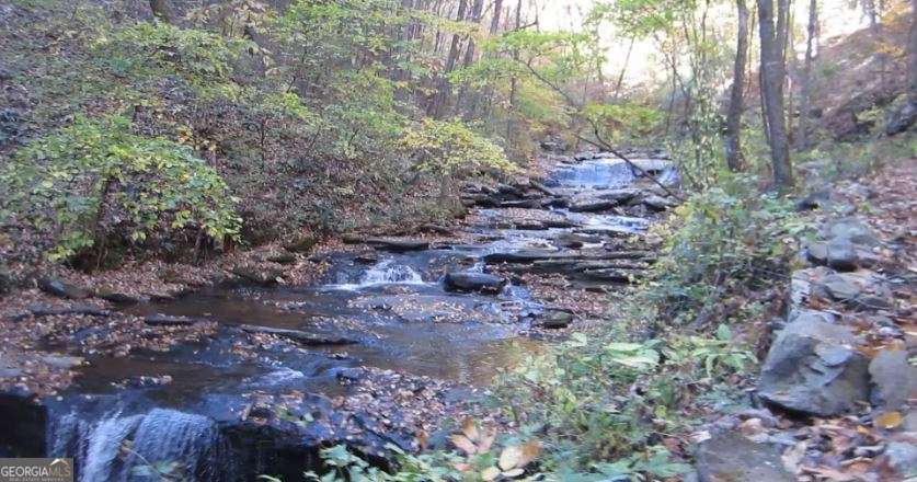 232 Andes Ridge Ellijay GA 30540