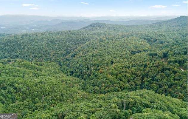 232 Andes Ridge Ellijay GA 30540