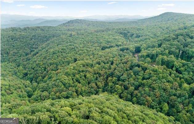 232 Andes Ridge Ellijay GA 30540