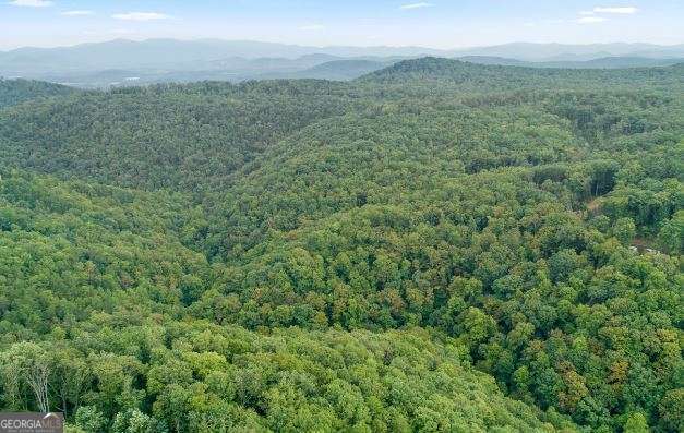 232 Andes Ridge Ellijay GA 30540