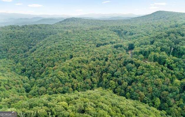 232 Andes Ridge Ellijay GA 30540