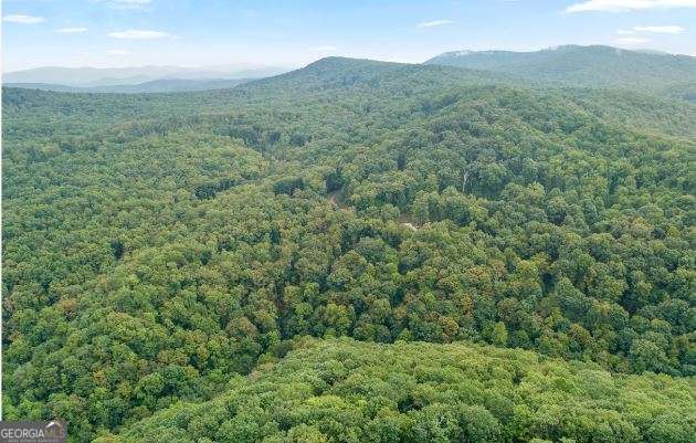 232 Andes Ridge Ellijay GA 30540