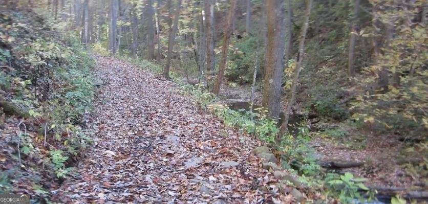 232 Andes Ridge Ellijay GA 30540