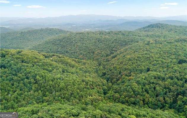 232 Andes Ridge Ellijay GA 30540