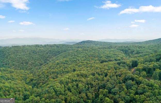 232 Andes Ridge Ellijay GA 30540