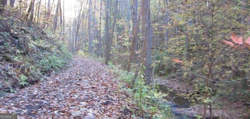 232 Andes Ridge Ellijay GA 30540