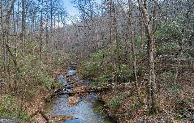 232 Andes Ridge Ellijay GA 30540