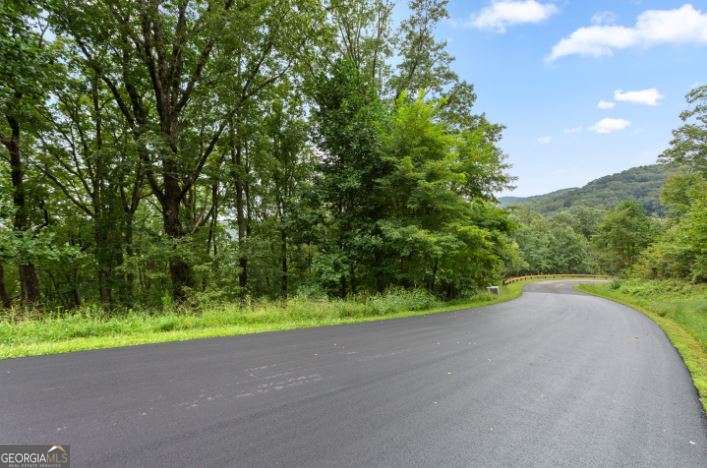 232 Andes Ridge Ellijay GA 30540
