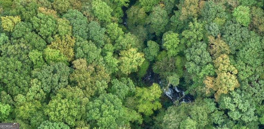 232 Andes Ridge Ellijay GA 30540