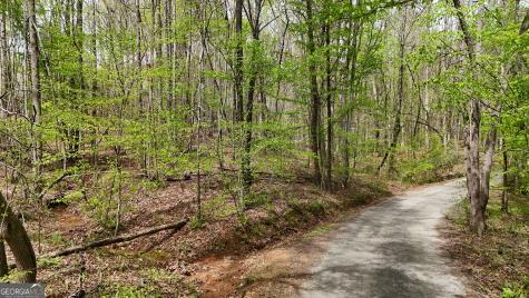 0 Shenandoah Drive Cleveland GA 30528