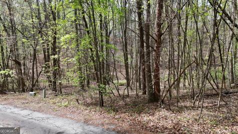 0 Shenandoah Drive Cleveland GA 30528