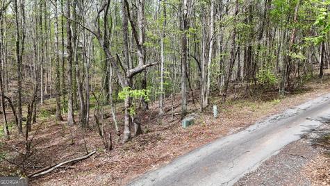 0 Shenandoah Drive Cleveland GA 30528