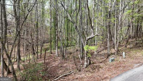 0 Shenandoah Drive Cleveland GA 30528
