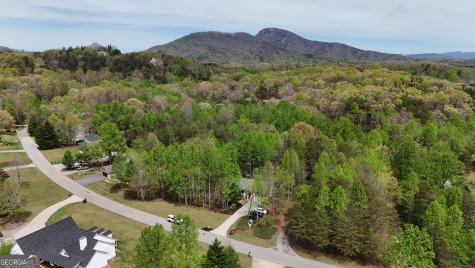 0 Shenandoah Drive Cleveland GA 30528