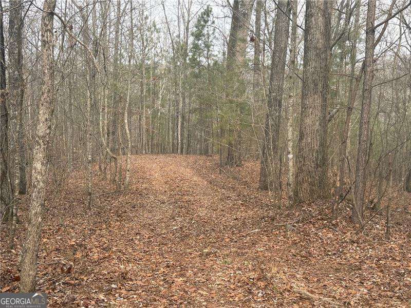 01 Swan Bridge Road Talking Rock GA 30175