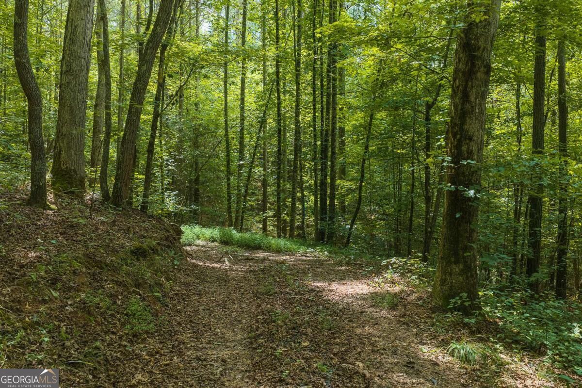 300 Sumac Lane Ellijay GA 30540
