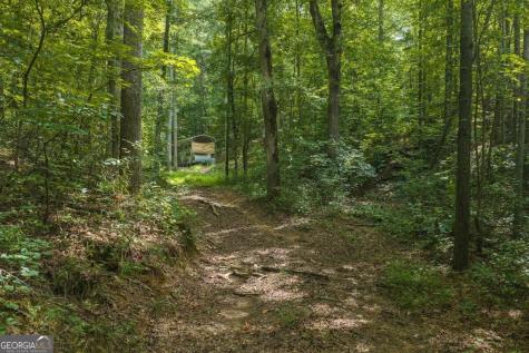 300 Sumac Lane Ellijay GA 30540
