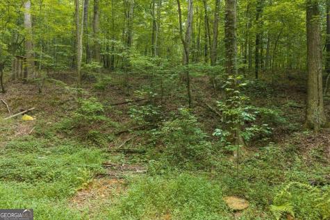 300 Sumac Lane Ellijay GA 30540
