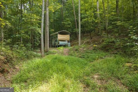 300 Sumac Lane Ellijay GA 30540