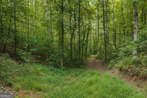 300 Sumac Lane Ellijay GA 30540