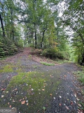 Lot 5 Sequoia Hills Lane Clayton GA 30525