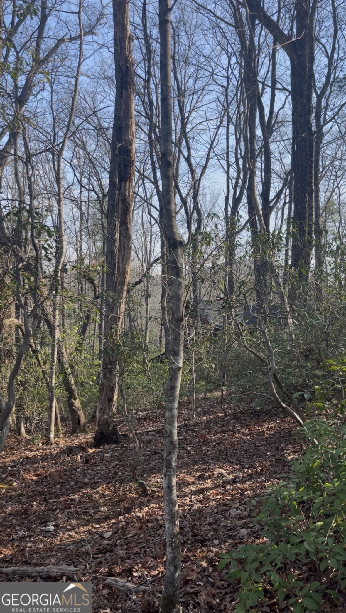 0 Highland Trail Cleveland GA 30528