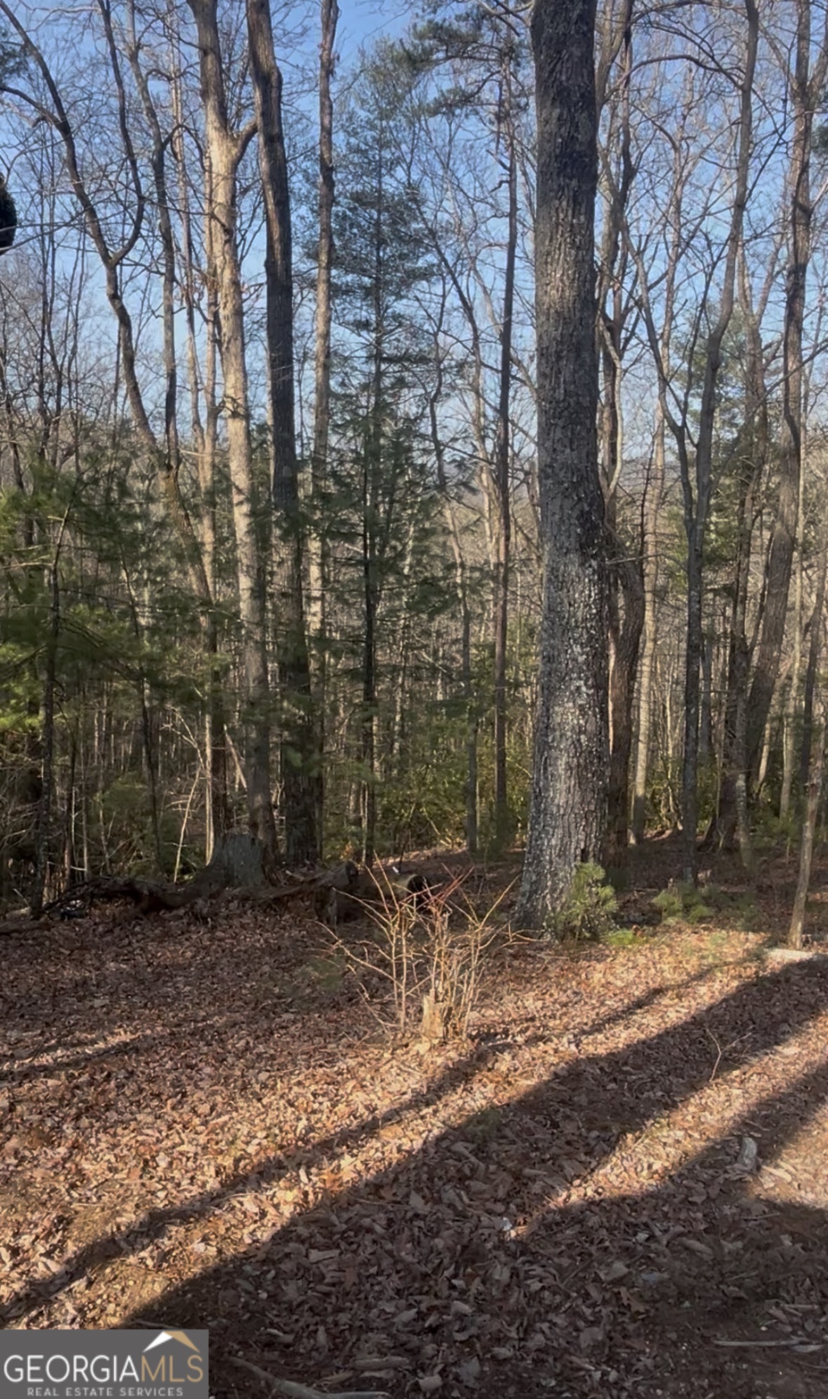 0 Highland Trail Cleveland GA 30528
