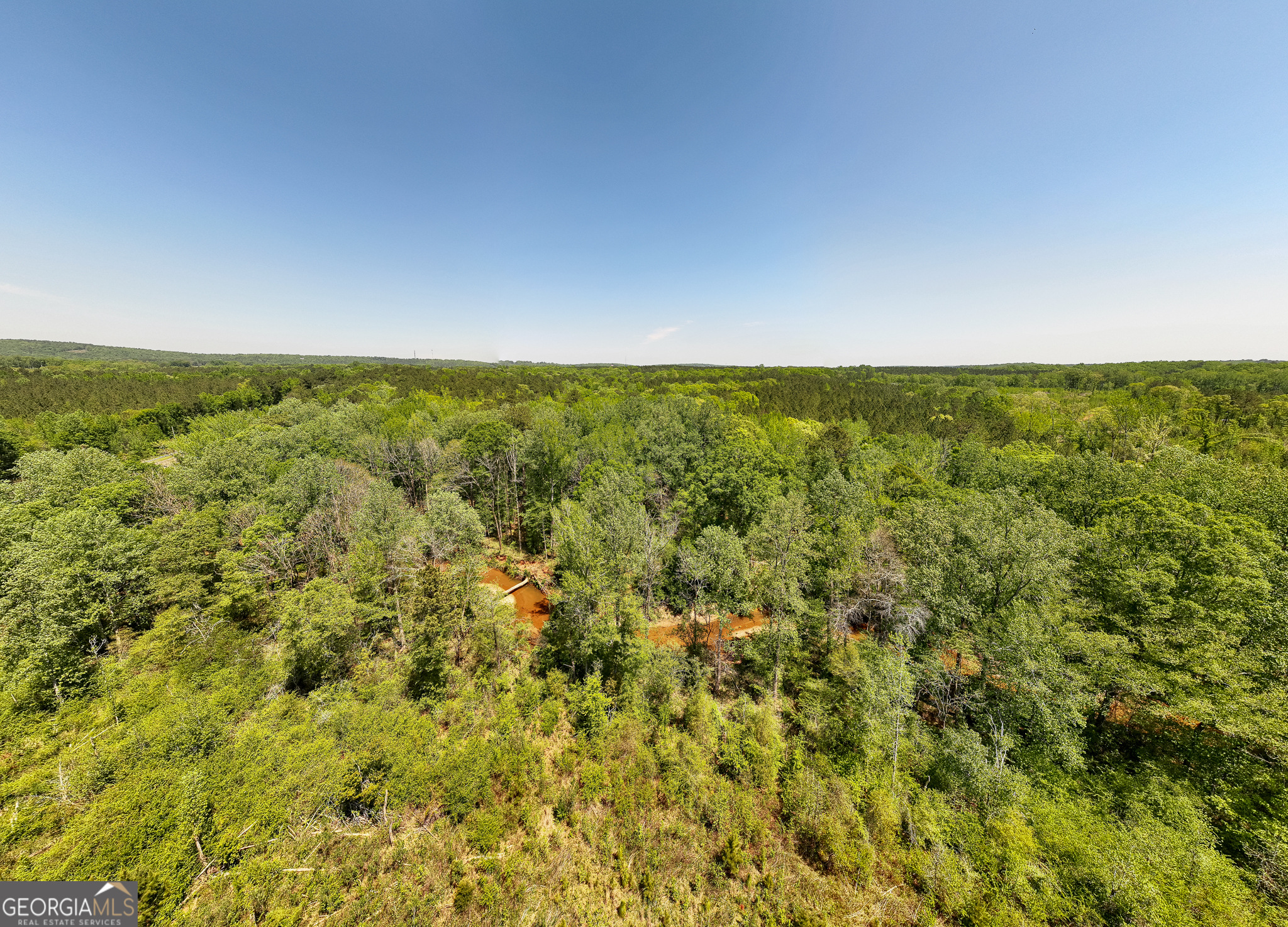 324 Acres Hunsinger Road Shiloh GA 31826
