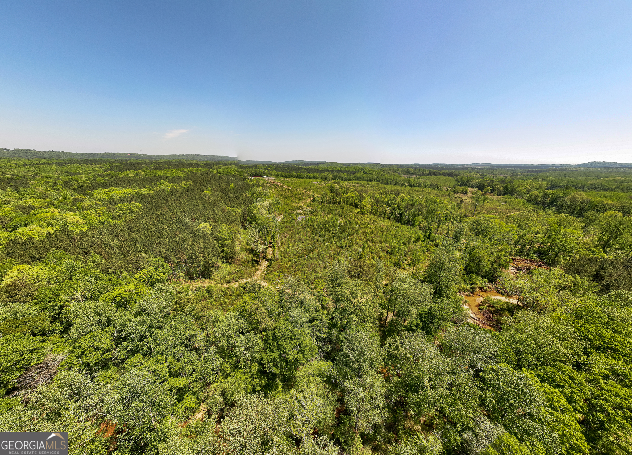 324 Acres Hunsinger Road Shiloh GA 31826