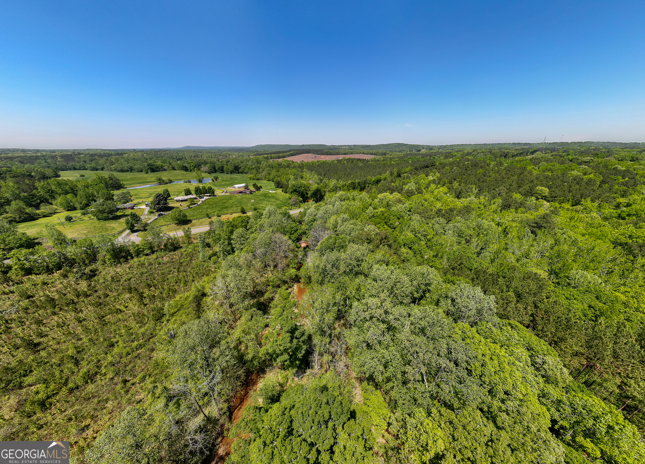 324 Acres Hunsinger Road Shiloh GA 31826