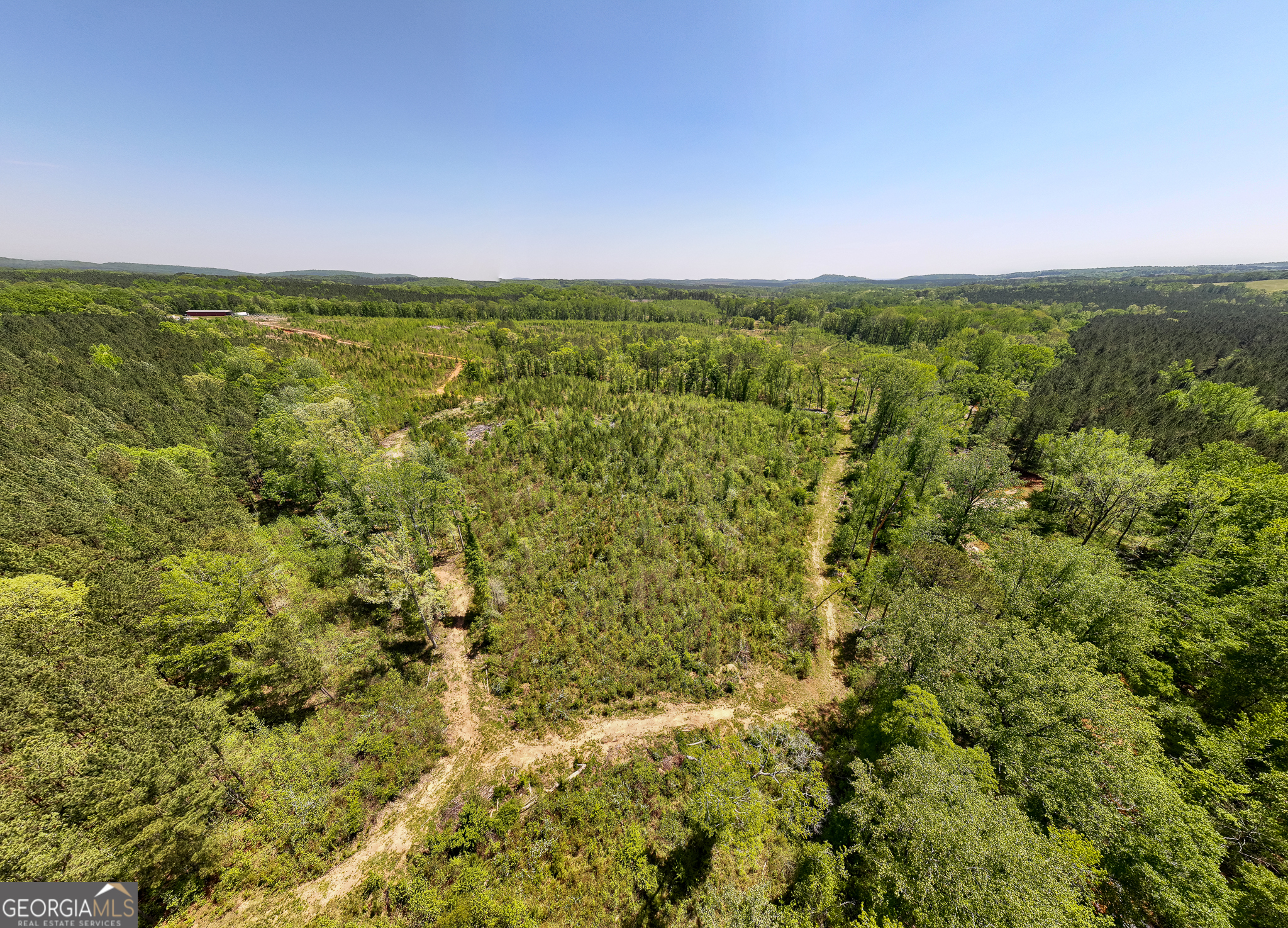 324 Acres Hunsinger Road Shiloh GA 31826