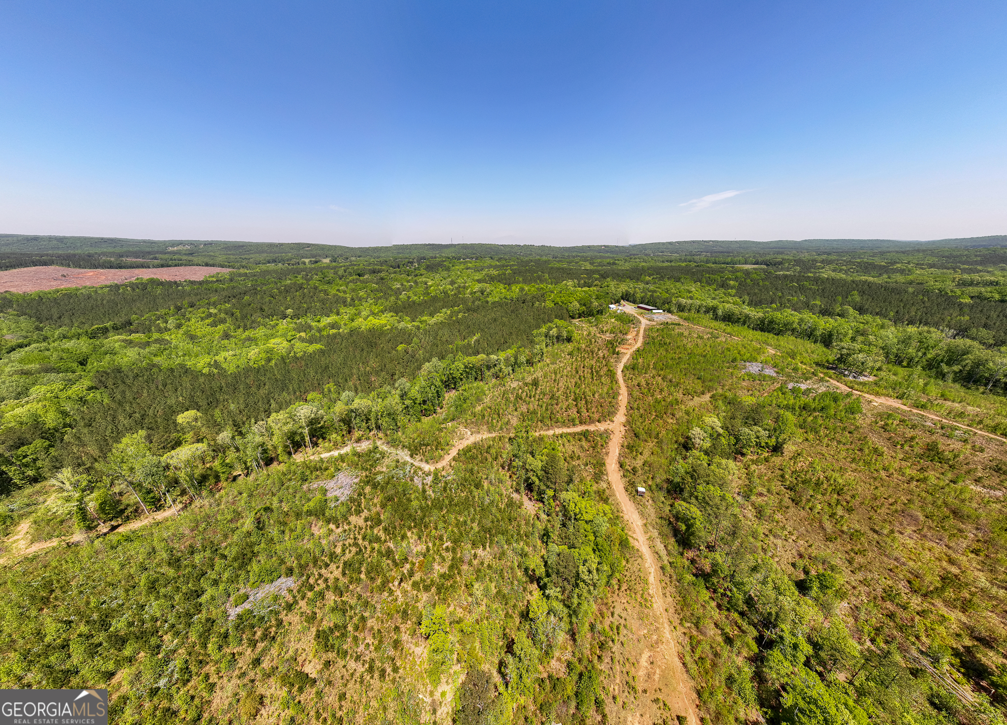 324 Acres Hunsinger Road Shiloh GA 31826