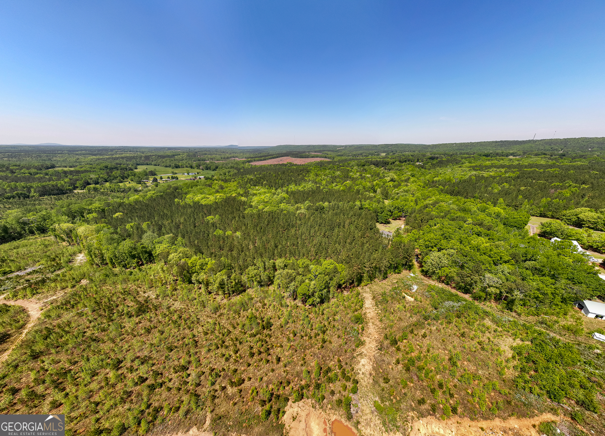 324 Acres Hunsinger Road Shiloh GA 31826