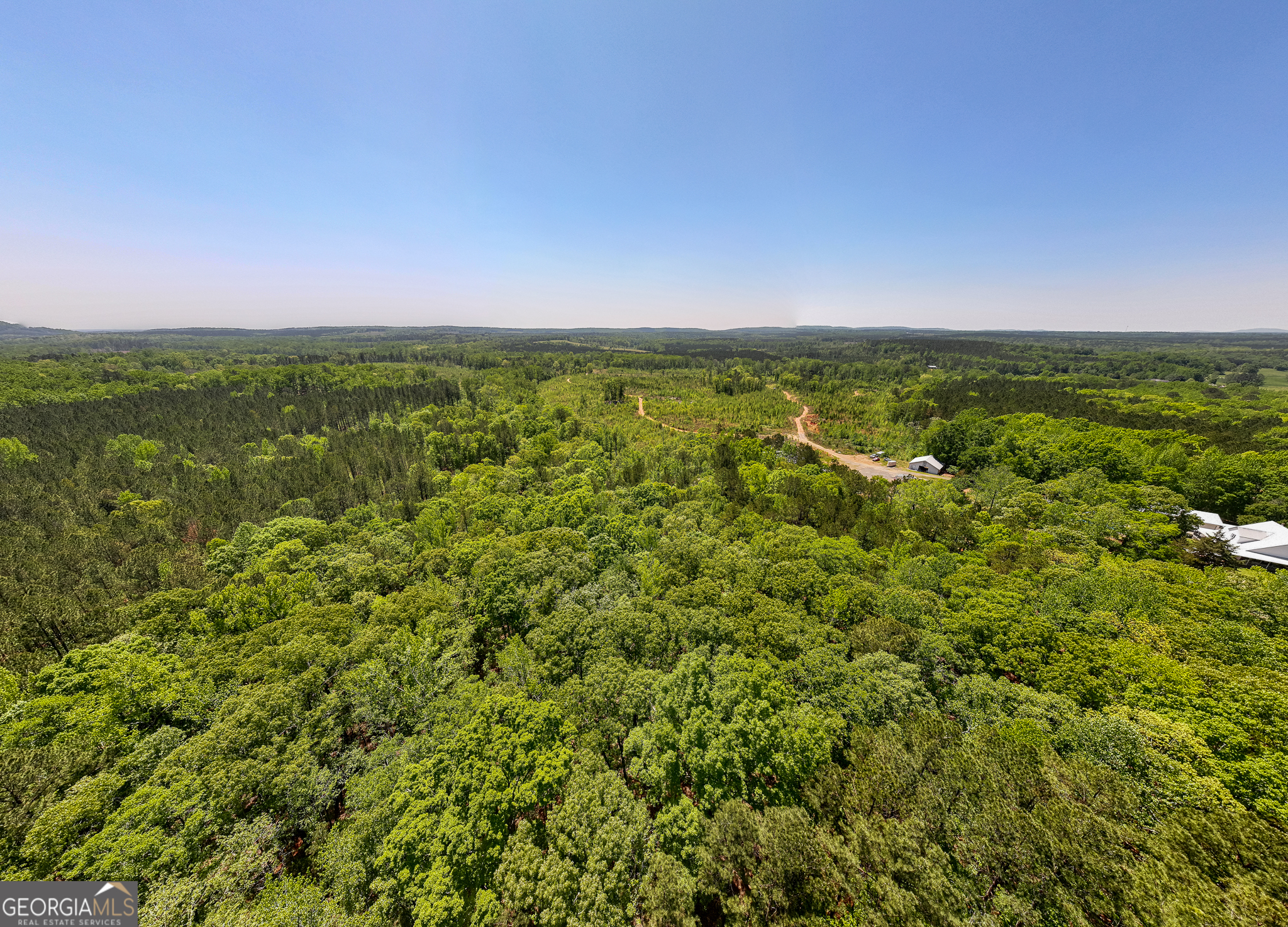 324 Acres Hunsinger Road Shiloh GA 31826