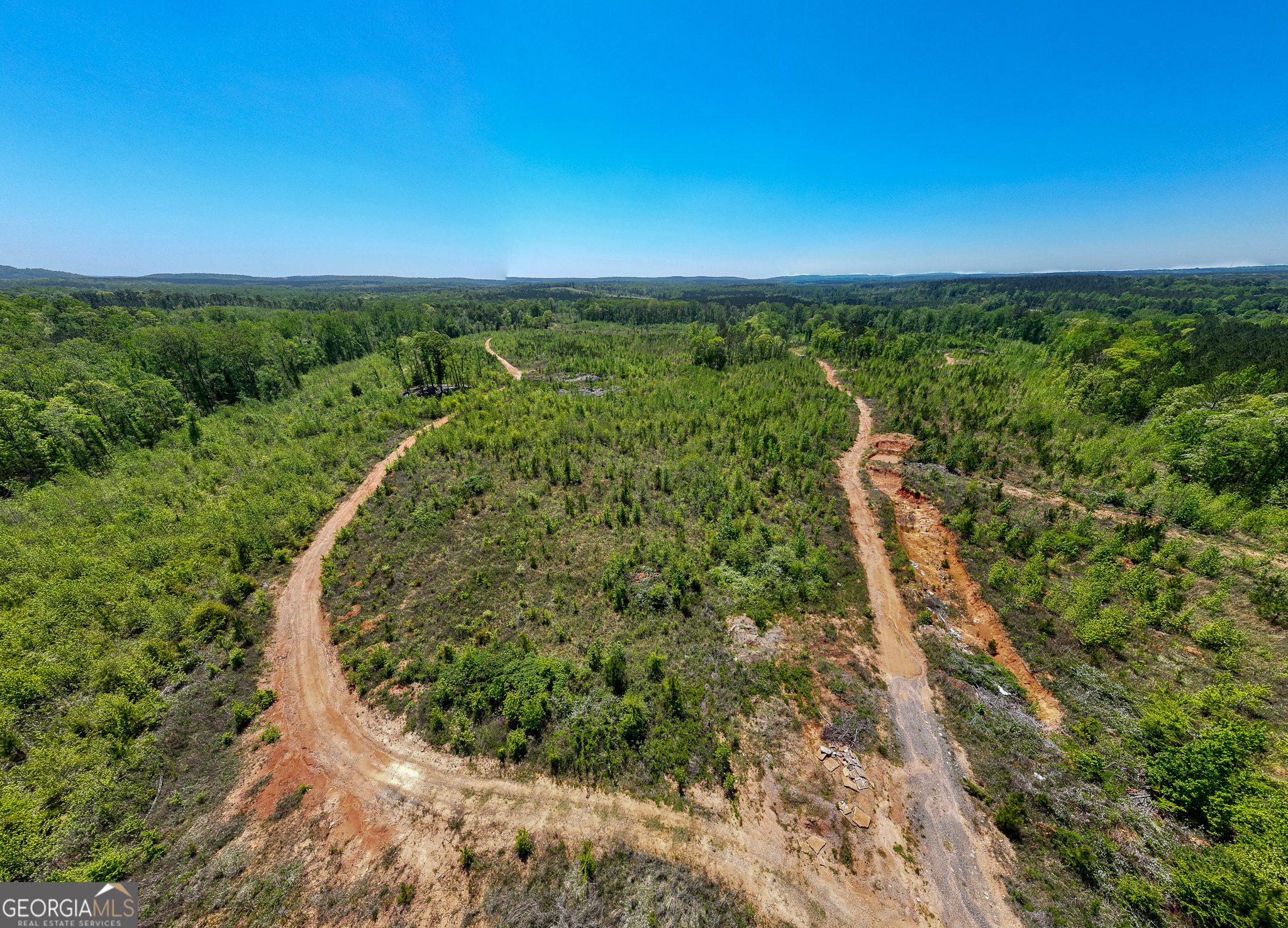 324 Acres Hunsinger Road Shiloh GA 31826