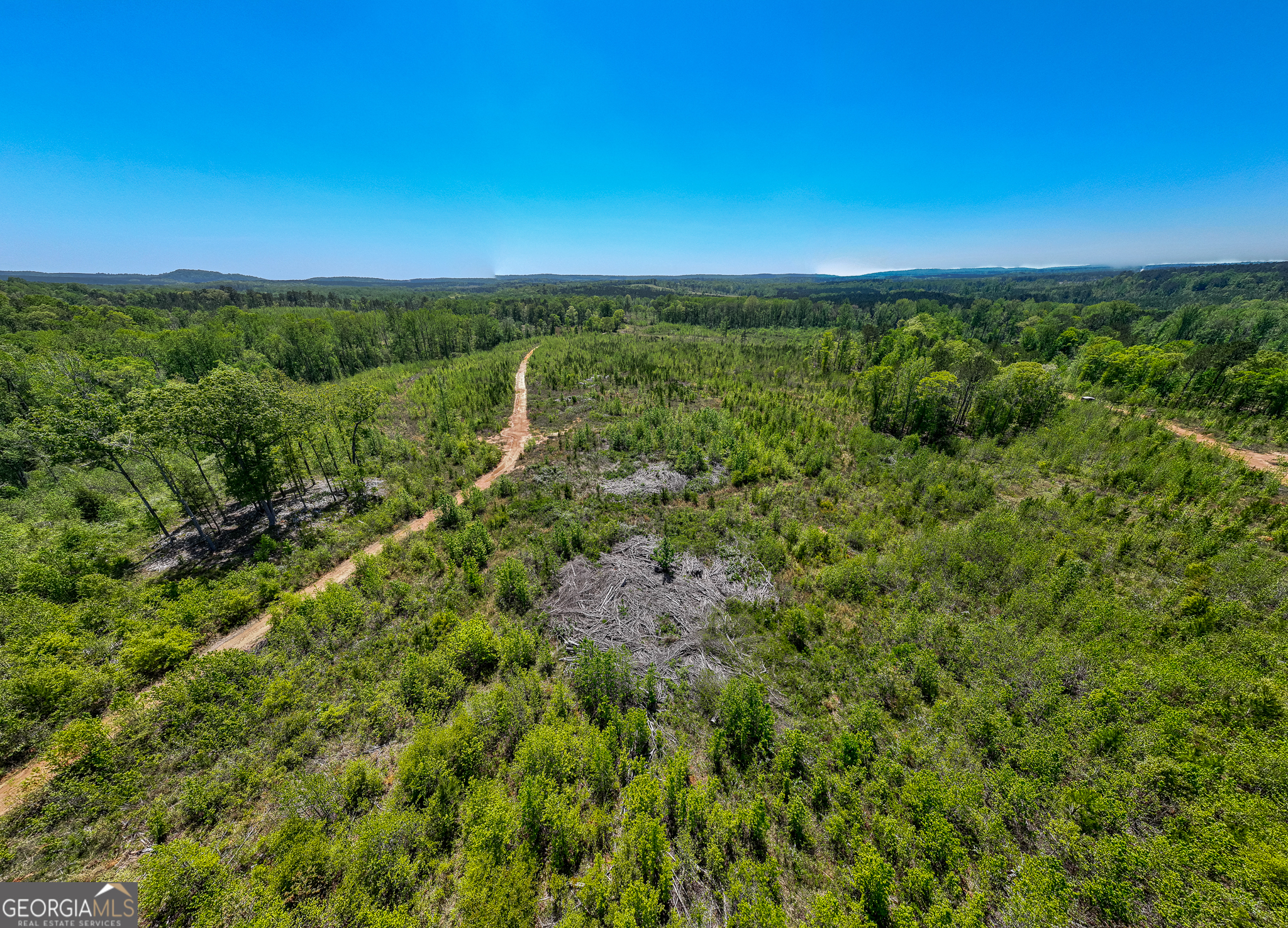 324 Acres Hunsinger Road Shiloh GA 31826
