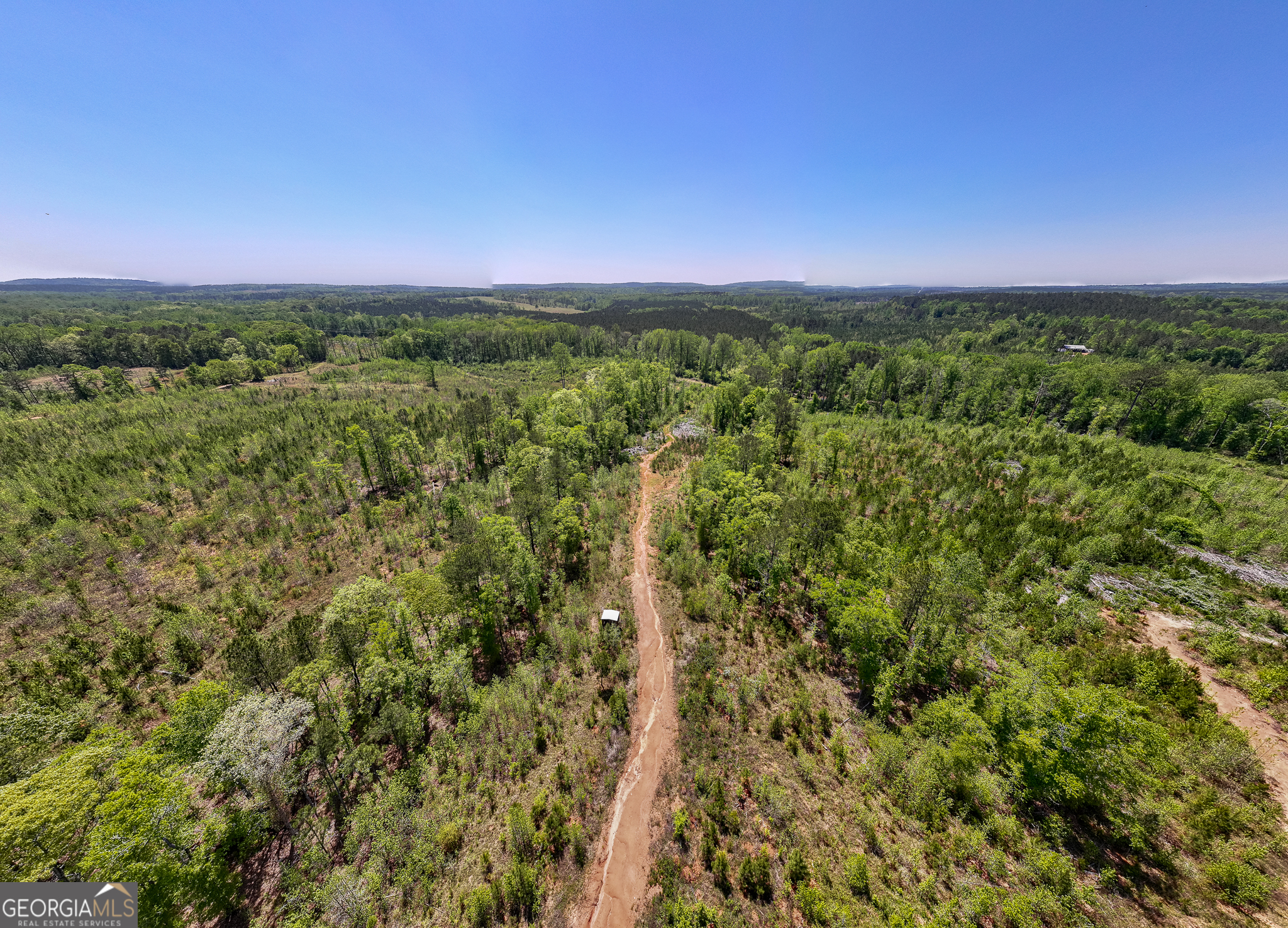 324 Acres Hunsinger Road Shiloh GA 31826
