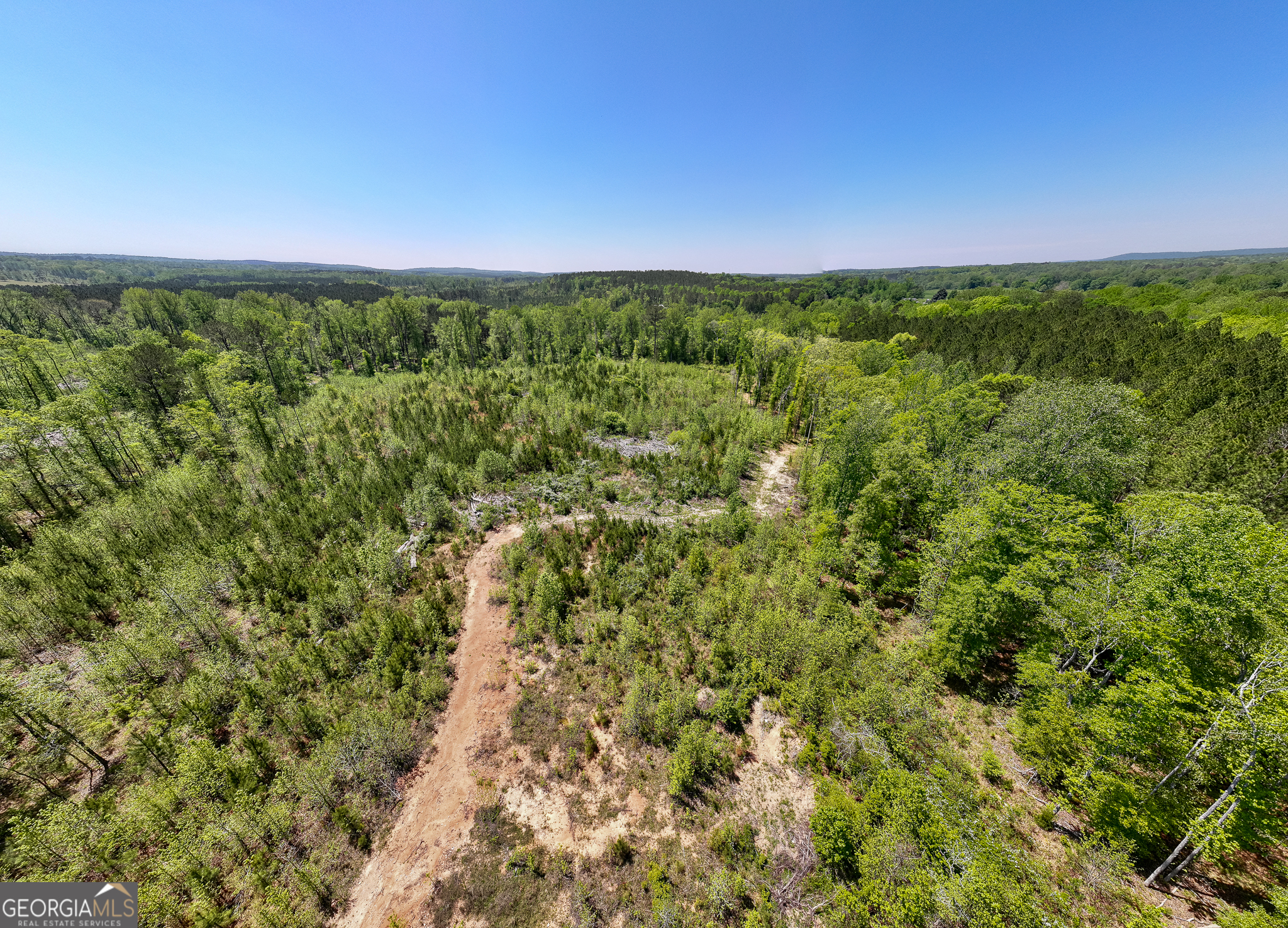 324 Acres Hunsinger Road Shiloh GA 31826