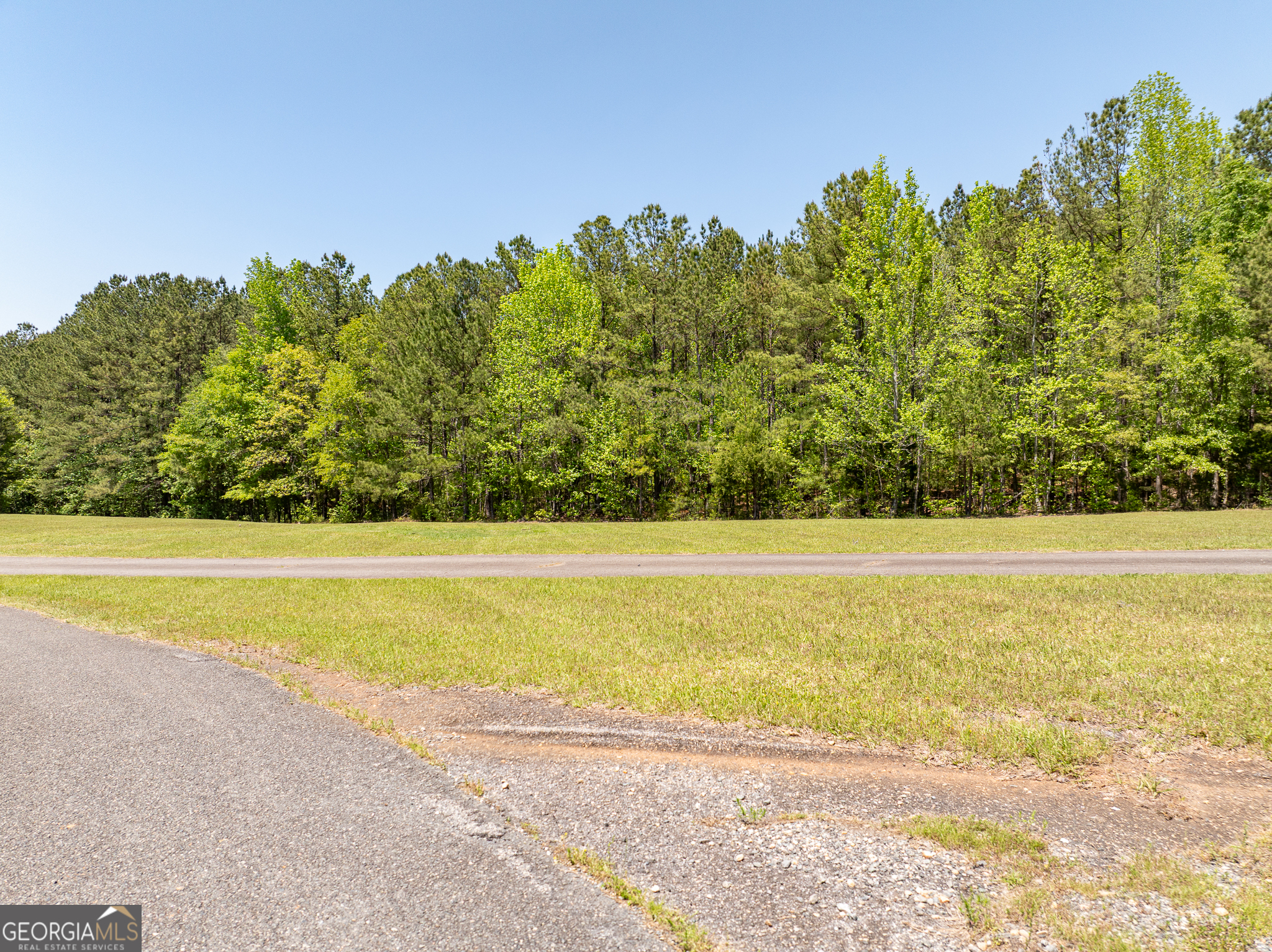 324 Acres Hunsinger Road Shiloh GA 31826