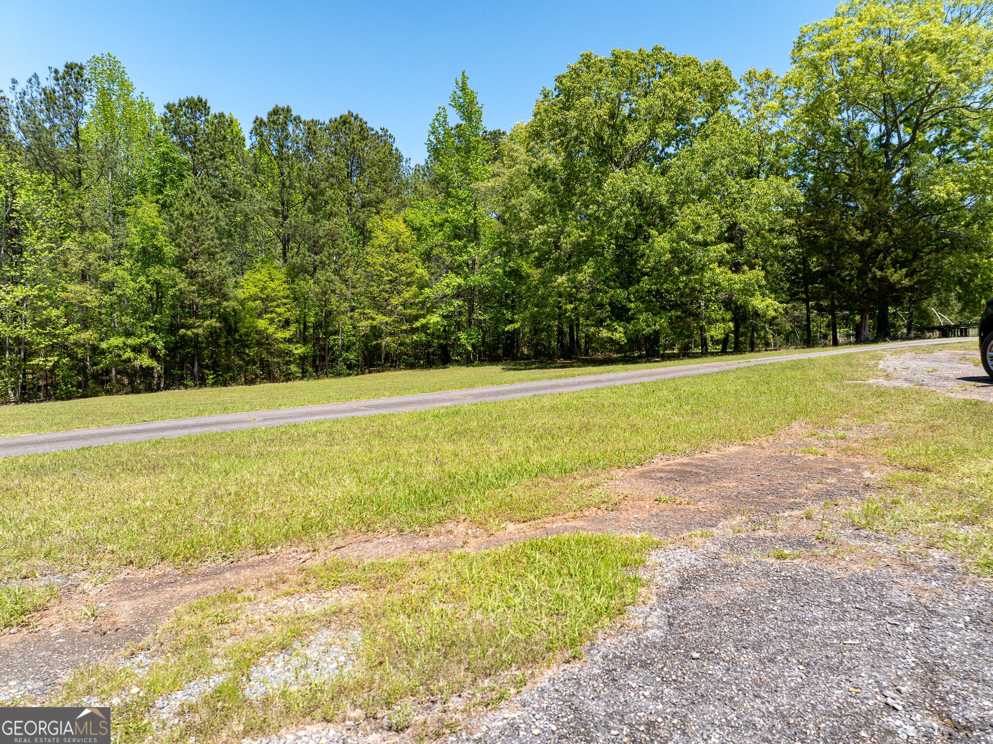 324 Acres Hunsinger Road Shiloh GA 31826